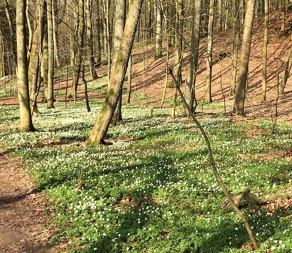 Séjour chez l'habitant Anita's